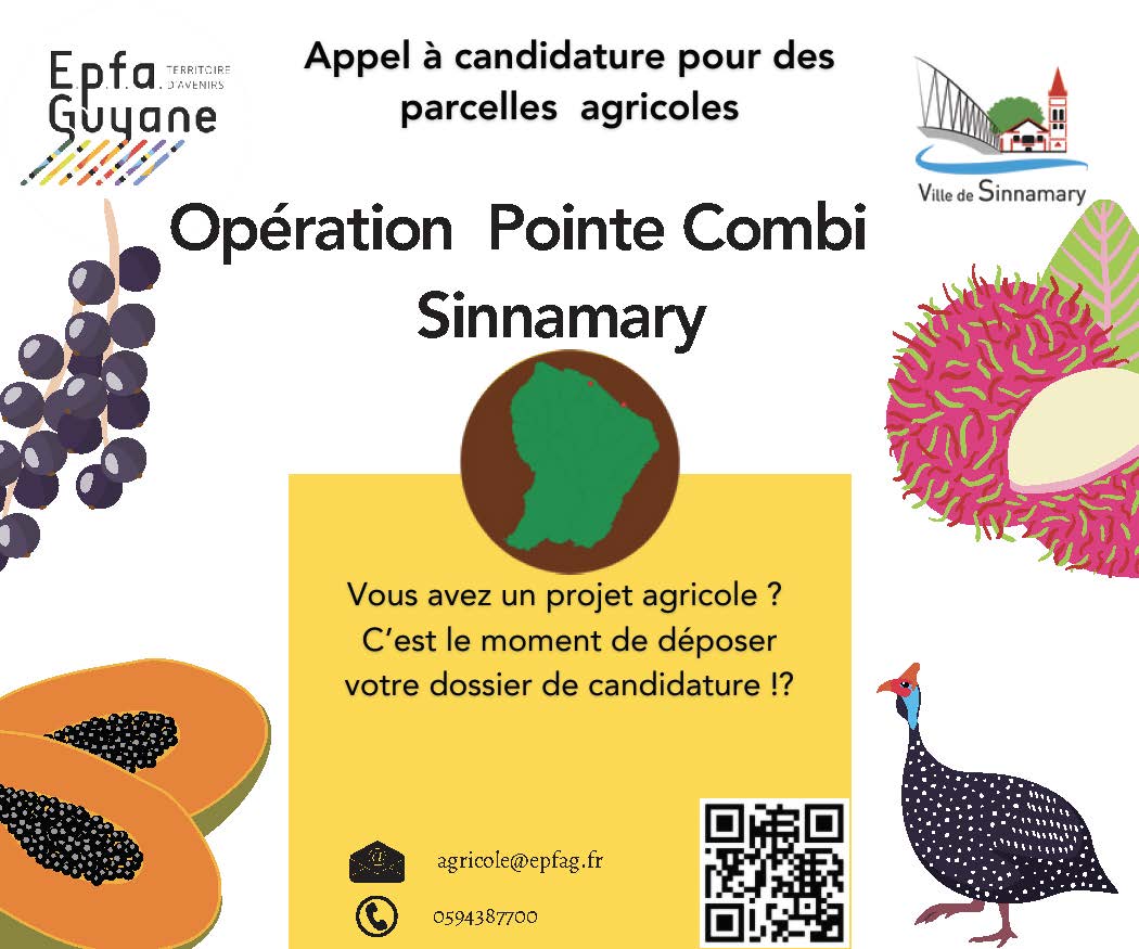 affiche appel à candidature Pointe-Combi Sinnamary[82]